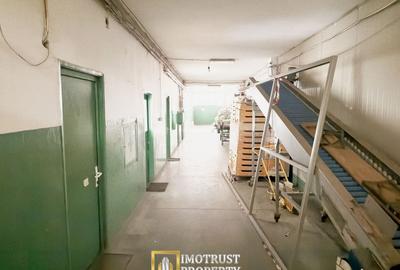 Spațiu industrial, de 589 mp, în Grădiște - 5