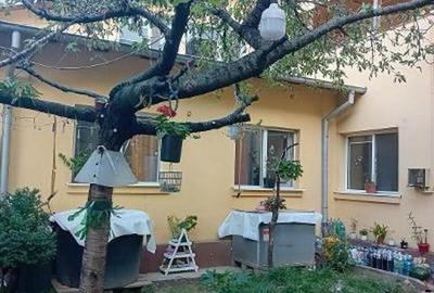 Blv BUCURESTI - casa P+1, 6cam, S-200mp - 155000 euro - 1