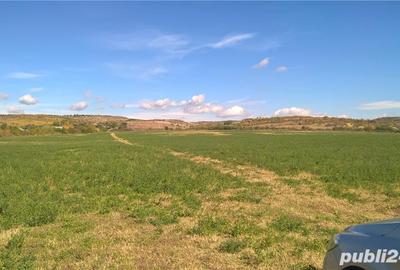 Teren de 39500 mp, în Valea Călugărească - 1