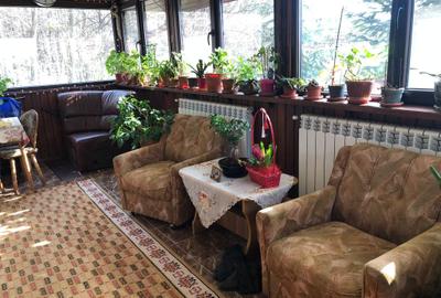 Casa cu etaj la Baisa spre padure - 2