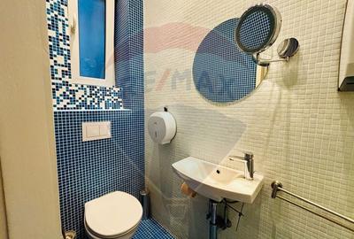 Duplex cu 10 camere cu Canalizare în Dorobanți - 19