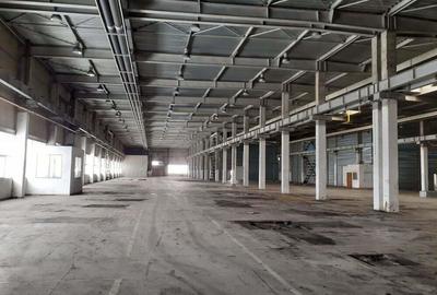 Spațiu comercial, de 20,000 mp, în Timișoara - 5