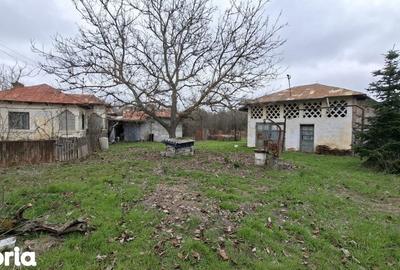 Casă cu 4 camere cu Teren 2570 Mp în Teiu - 7