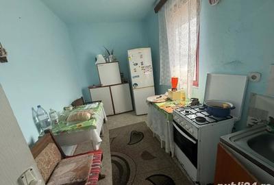 Casa de vanzare la cruceni la 40km de Timisoara - 1