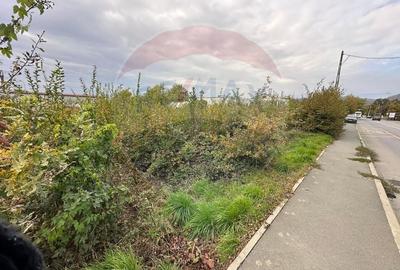 TEREN INDUSTRIAL -- DE VANZARE - 4