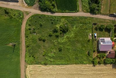 FRUMUSANI - POSTAVARI, TEREN 1500 MP, FRONT 30 M ! FRUMUSANI - POSTAVARI, TEREN 1500 MP, FRONT 30 M ! - 5