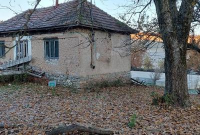 Teren de 2435 mp, în Bratca - 1