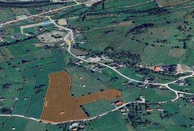Teren de 1000 mp, în Pojorâta - 4