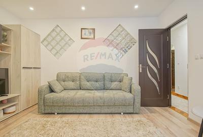 Apartament cochet cu 2 camere de vanzare in Cartierul Noua - 4