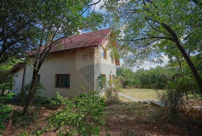 Casa de vanzare cu 1800 mp teren, Paleu - 21