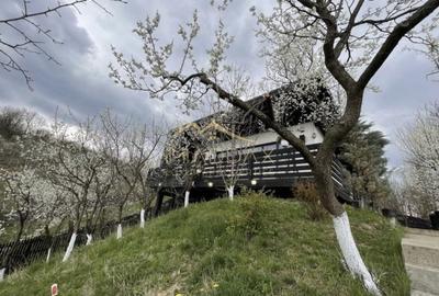 Casa de vacanta**Panorama spectaculoasa//Provita de Jos_Prahova - 3