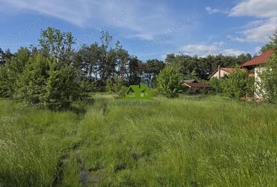 Teren de 1380 mp, în Goranu - 16