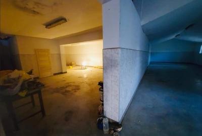 Hala de 800 mp cu teren de 1600 mp in Ineu de Cris Bihor. - 5