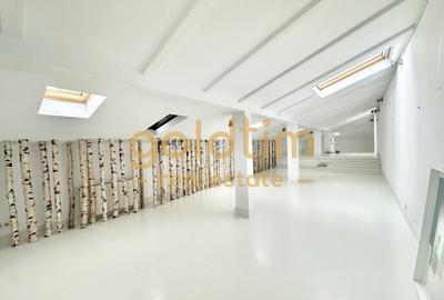 VILA INTERBELICA RENOVATA/CURTE/PRETABILA ACTIVITATI COMERCIALE/DOROBANTI - 2