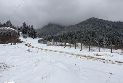 Teren de 580 mp, în Turcheș - 2