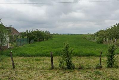 Teren de 5774 mp, în Saca - 2