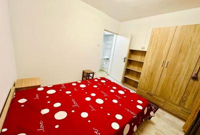 Apartament cu 2 camere semidecomandat în Valea Rosie - 8