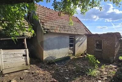 Casa cu livada 2880 mp in Adea la 4km de Chi?ineu-Cri? - 10