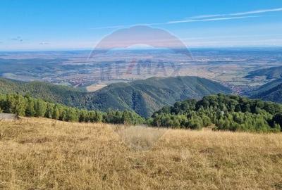 Teren agricol extravilan de 5609 mp, în Gura Râului