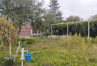 Casă individuală cu 3 camere cu Teren 3886 Mp în Gârleni - 6