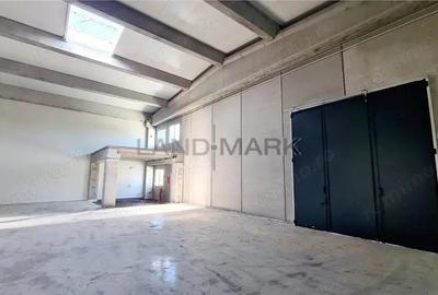 Spatiu industrial de inchiriat, 523 mp, Timisoara exterior NORD - 4