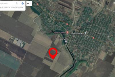 12 Ha Teren Agricol Vlad Tepes CL 12 Ha Teren Agricol Vlad Tepes CL - 1