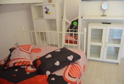 Casa speciala situata langa partia Kalinderu - 8