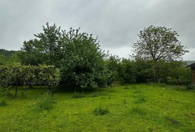 Casă cu 4 camere cu Teren 2885 Mp în Criștioru de Jos - 2