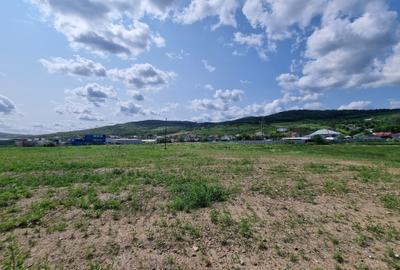 Teren Industrial cu Autorizatie de construire - Soseaua Iasi Tomesti - 3