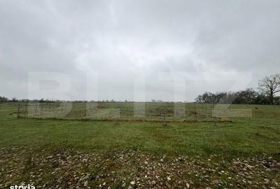 Teren de 695 mp, în Moșnița Nouă - 2