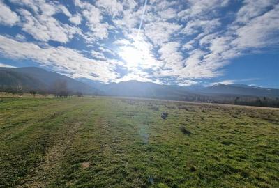 Teren de vanzare in satul de vacanta Dejani - 5