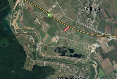 Teren de 5700 mp, în Palanca - 3