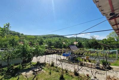 Casa cu teren generos, in mijlocul naturii Barza, Dane?ti - 10