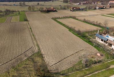 Teren Construcții intravilan de 2970 mp, în Odvoș - 2