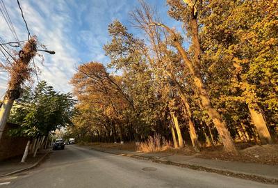 Teren intravilan - vanzare - Colentina - Padurea Andronache - 4