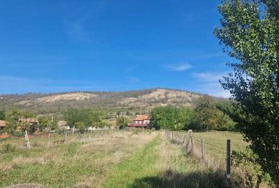 Casă individuală cu 3 camere cu Teren 2200 Mp în Colibi - 8
