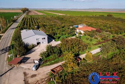 Teren de 44999 mp, în Sabangia - 3