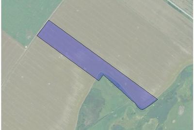 Vand teren agricol 5 ha, jud. Timis - 1