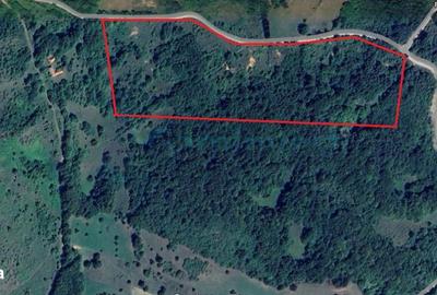 Spațiu comercial, în Tomnatic