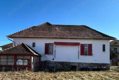 Casă cu 2 camere cu Teren 1000 Mp în Sub Arini - 4