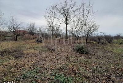 Teren de 772 mp, în Central - 4