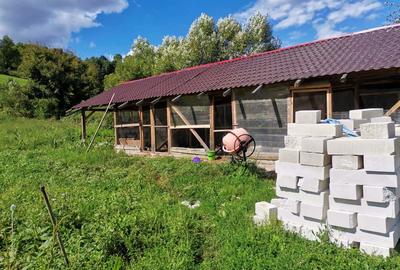 Casă cu 5 camere cu Teren 6800 Mp în Hărțăgani - 7