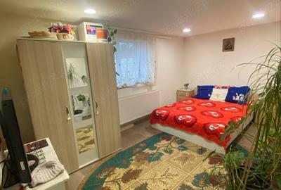 Casă cu 2 camere în Pestișu Mic - 6