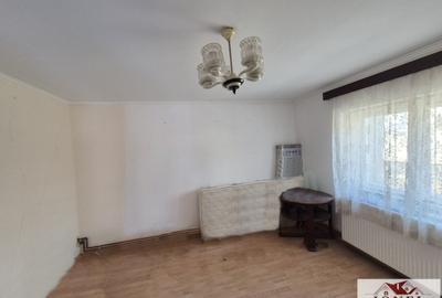 Casa de vanzare in Salistea -800 mp teren - 5