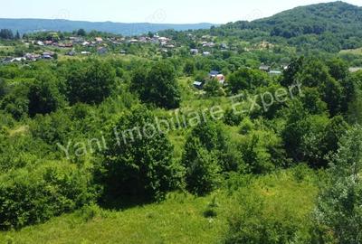 Teren de 20698 mp, în Valea lui Enache - 6