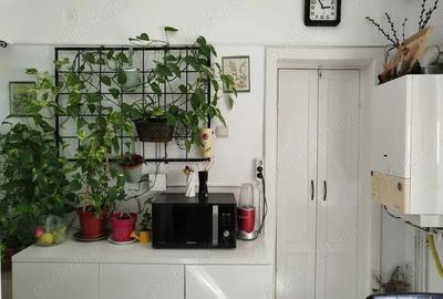 Apartament 2 camere ultracentral - 3