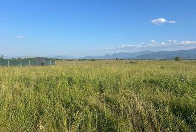 Teren 400 mp, stupini, intravilan, PUZ , CU. - 4