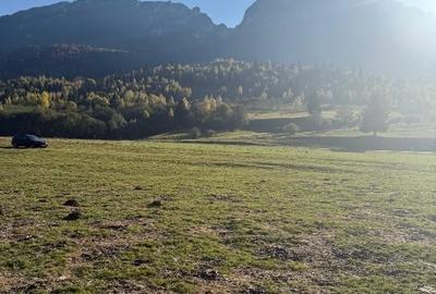 Vând teren zona Plaiul foi din Zărnești cu priveliște la Munții Piatra Craiului - 3