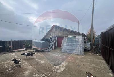 Casa 2 camere Carligele - 6