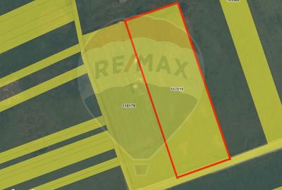 Teren de 6200 mp, în Central - 2